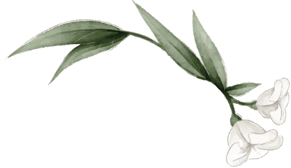 white flower